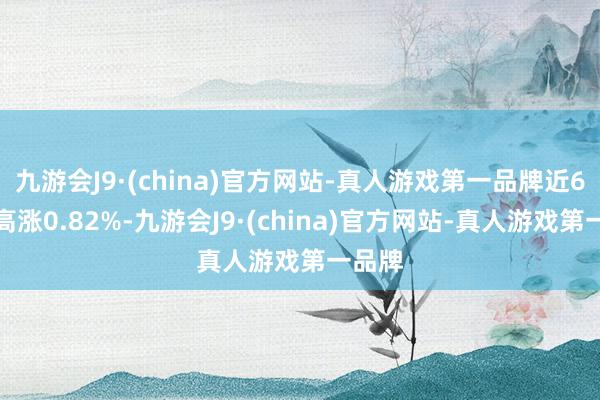 九游会J9·(china)官方网站-真人游戏第一品牌近6个月高涨0.82%-九游会J9·(china)官方网站-真人游戏第一品牌
